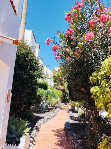 Apartamento Amarilla Golf 2c3