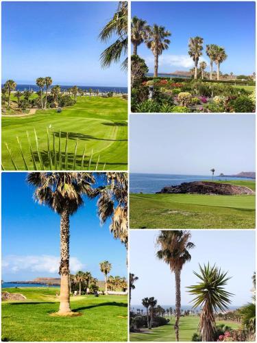 Apartamento Amarilla Golf 2c3