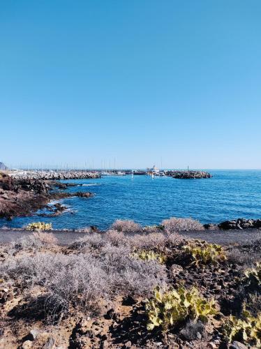 Apartamento Amarilla Golf 2c3