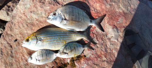 Hostal Les �toiles Du Ksar