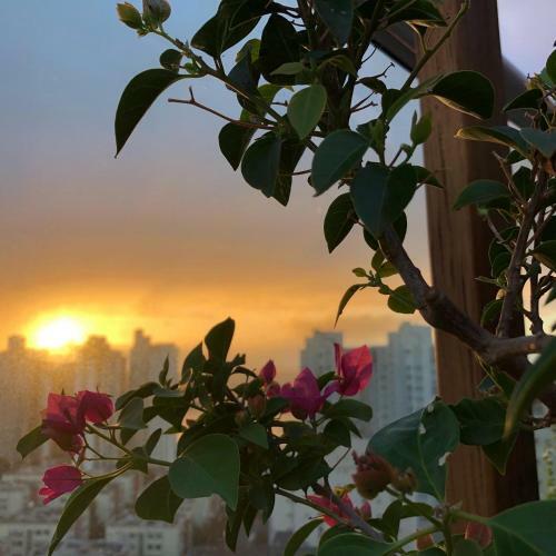 Apartamento Cobertura Luxo Vista Mar E Convento Da Penha