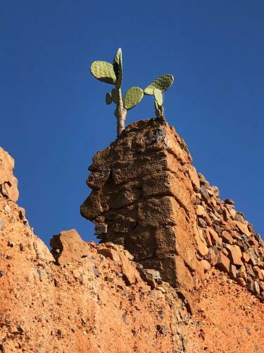 Apartamento Tibougraych Appartement Mirleft