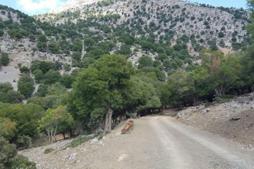 Villa Strata (a Path To Psiloritis Mountain)