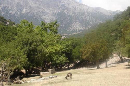 Villa Strata (a Path To Psiloritis Mountain)