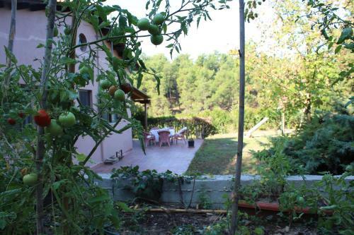 Villa House Armonia