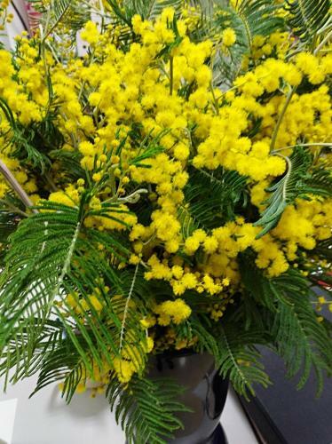 Castell Del Montgr� Baix