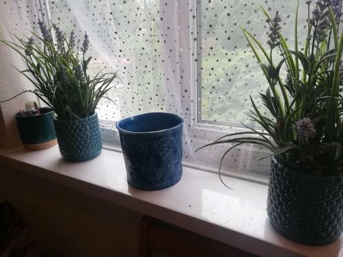 Single Bedroom In A Cozy Maisonette - Bushey