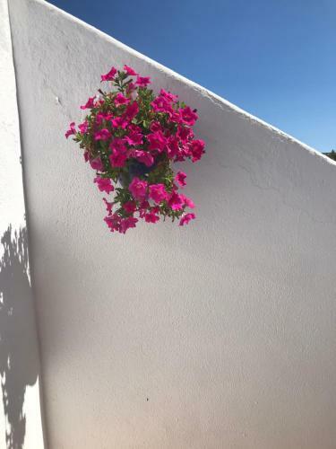 Apartamento Bonita Casa Adosada