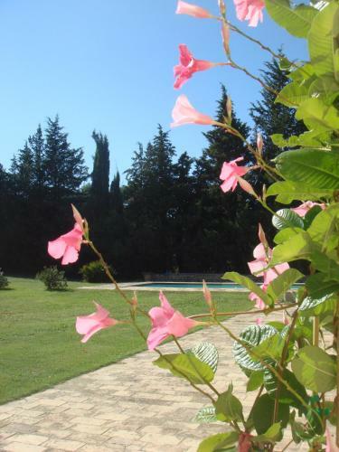 Bed & Breakfast Domaine De Saint Cl�ment