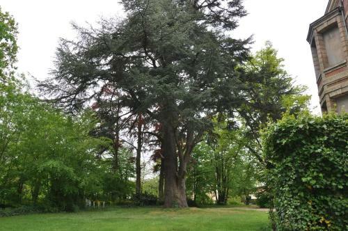 Hostal Ch�teau De La Croix Bizet