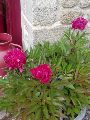 Hostal G�tes Ruraux Et Maison D'h�tes Saint Michel