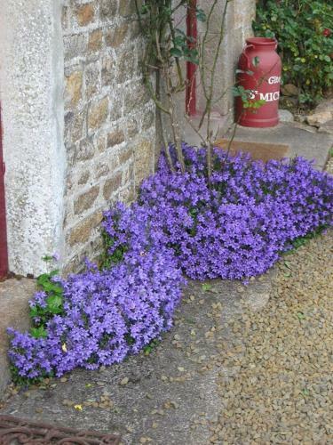 Hostal G�tes Ruraux Et Maison D'h�tes Saint Michel