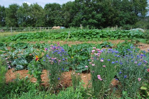 Bed & Breakfast Mas De Garrigue