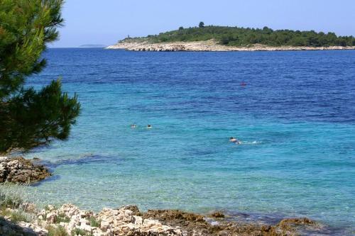 Apartments By The Sea Bilo, Primosten - 3090