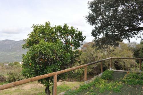 El Candelar