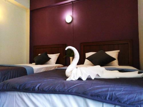 Bed & Breakfast The Tara River