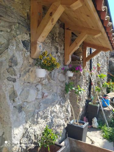 Bed & Breakfast Massia Gasset