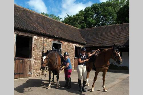 Upper Heath Farm - Stable Cottage