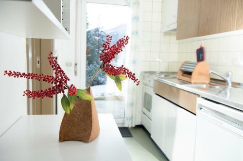 Apartamento Mistaila
