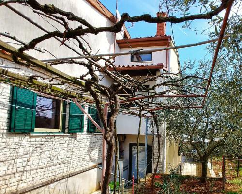 Hostal Apartman And Room Bm