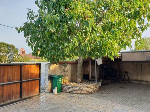 Hostal Apartman And Room Bm