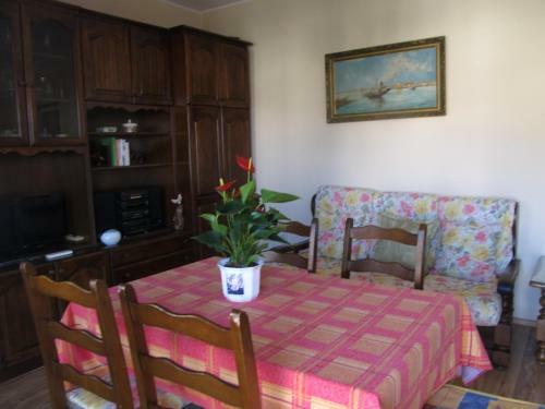 Apartman Tara