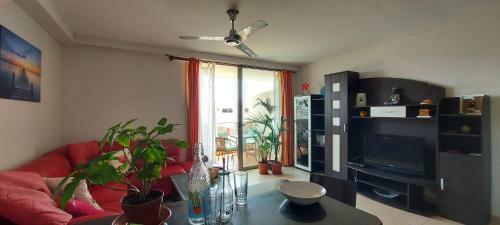 Apartament Palm Mar,free Wifi, Great Swimmingpool!