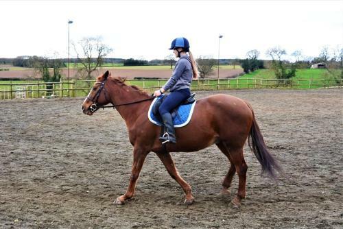 Apartamento Hillfields Farm Barn - A Rural Equestrian Escape