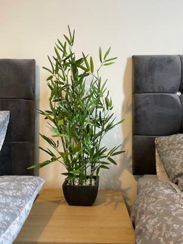Apartamento Bentley House With En-suites