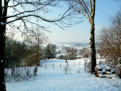 Bed & Breakfast Villa Witte Lelie