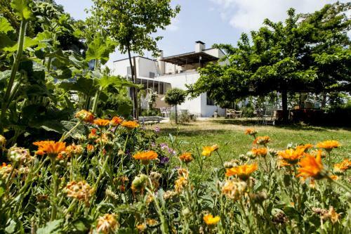 Agroturismo Agriturismo Campoletizia