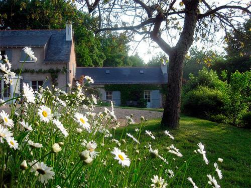 Bed & Breakfast La Butte De Gohier