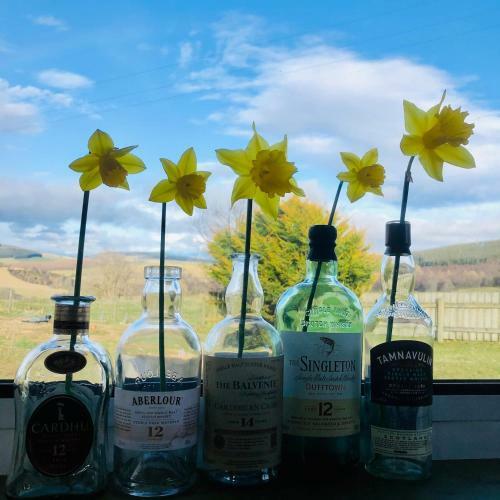 Lettoch Farm Holiday Home