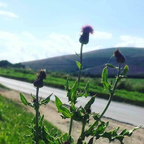 Lettoch Farm Holiday Home