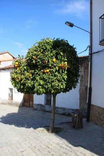 Agroturismo Casa Rural Las Pilas