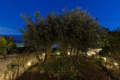 Agroturismo Two Olive Trees