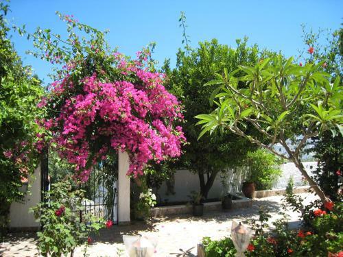 Apartamento Eleftheria Lindian Studios II