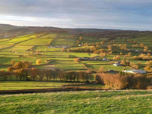 Coedmor Cottages