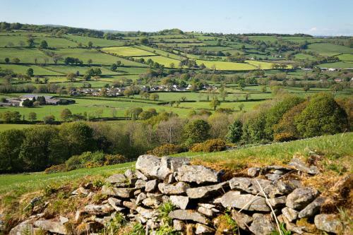 Coedmor Cottages