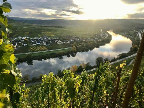 Apartamento Weinlofts An Der Mosel