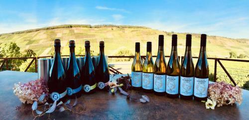 Apartamento Weinlofts An Der Mosel