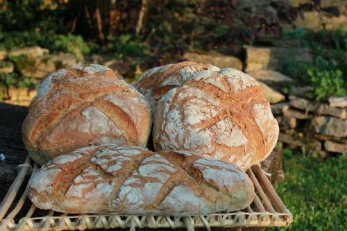 Bed & Breakfast La Bicyclette Fleurie