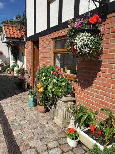 Acorn Cottage
