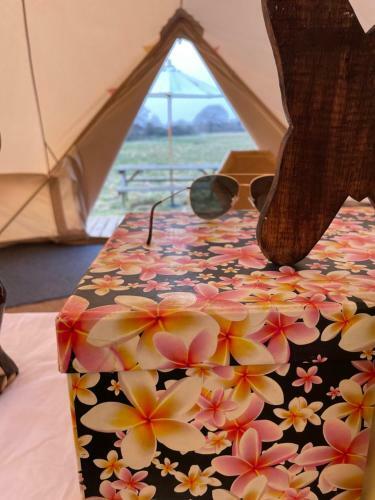 Wild Camping Lands