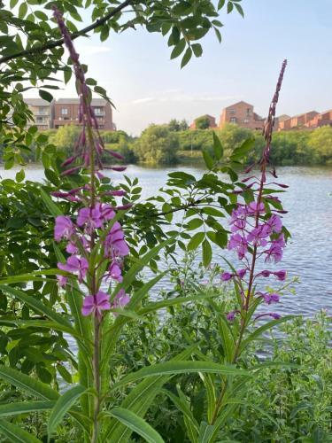 Beautiful 1-bed Apartment In Stockton-on-tees