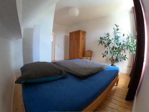 Apartamento Zentrale Gro�e Ferienwohnung -94qm- Oldenburg