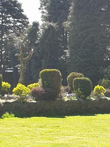 Richlands Homestay