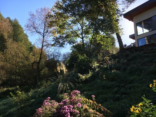 Apartamentos Ferienhaus Haagalm