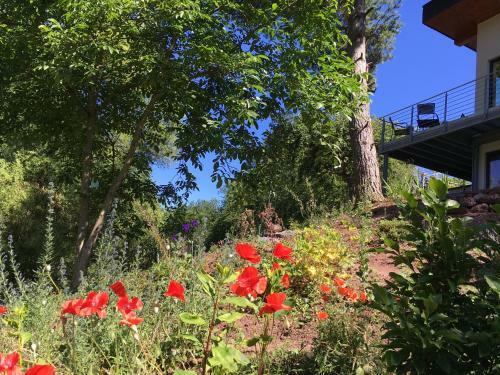 Apartamentos Ferienhaus Haagalm
