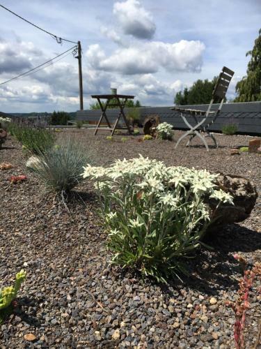 Apartamentos Ferienhaus Haagalm